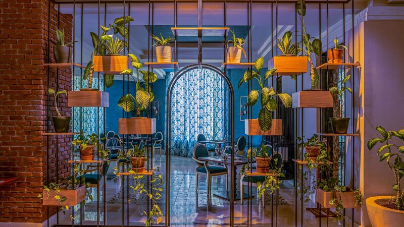 Rixos Sharm El Sheikh Adult Friendly