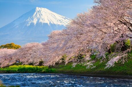 Comfort Japonya & Kore Turu 9 gece Ekstra Turlar ve Çay Seremonisi Dahil
